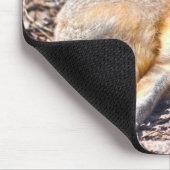 Swift Fox rust in Sunshine Wildlife Mousepad Muismat (Hoek)