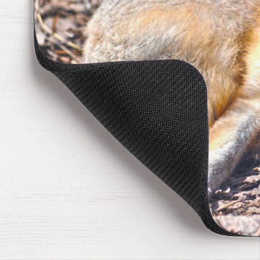 Swift Fox rust in Sunshine Wildlife Mousepad Muismat (Hoek)
