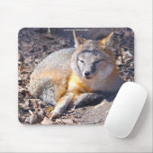 Swift Fox rust in Sunshine Wildlife Mousepad Muismat (Met muis)