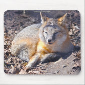 Swift Fox rust in Sunshine Wildlife Mousepad Muismat (Voorkant)