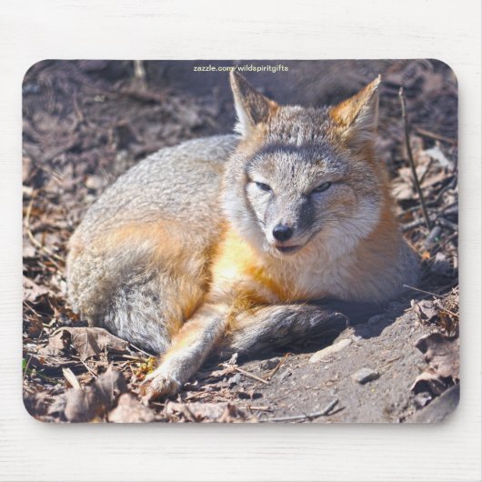 Swift Fox rust in Sunshine Wildlife Mousepad Muismat (Voorkant)