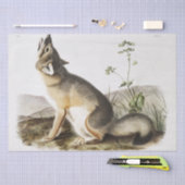 Swift Fox (Vulpes velox) uit het vivipare vierkant Tissuepapier (Craft)