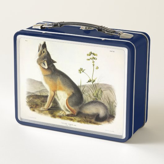 Swift Fox (Vulpes Velox) van Audubon's Quadrupeds (Achterkant)