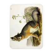 Swift Fox (Vulpes Velox) van Audubon's Quadrupeds Magneet (Verticaal)