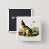 Swift Fox (Vulpes Velox) van Audubon's Quadrupeds Vierkante Button 5,1 Cm (Voorkant /achterkant)