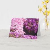 Swift Recovery Kaart (Gele Bloem)