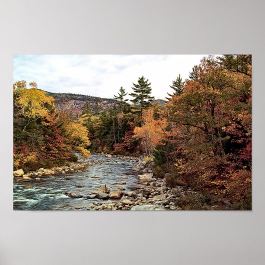 Swift River Autumn Poster (Voorkant)