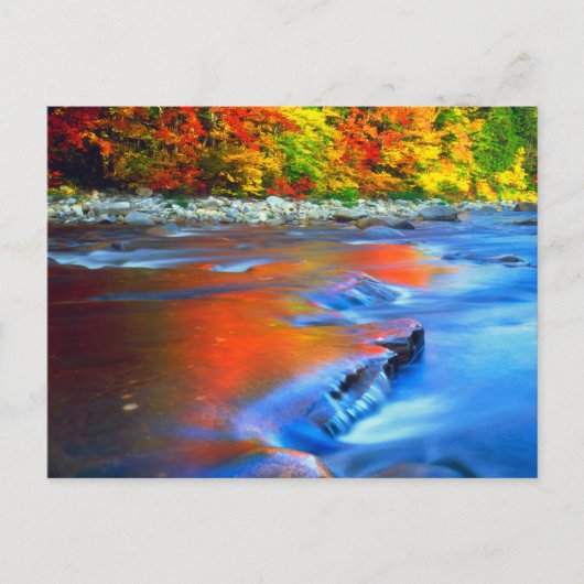 Swift River met herfstkleuren Briefkaart (Voorkant)
