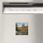 Swift River NH Magnet (Insitu (Vaatwasser))
