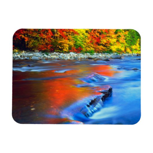 Swift River reflecterende herfstkleuren Magneet (Horizontaal)