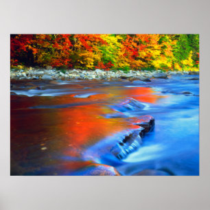 Swift River reflecterende herfstkleuren Poster