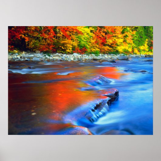 Swift River reflecterende herfstkleuren Poster (Voorkant)