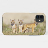 Swift Vos (Vulpes macrotis) jong bij hol, 3 Case-Mate iPhone Case (Achterkant (horizontaal))