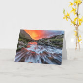 Swiftcurrent Herfsten | Nationaal park Glacier Mon Kaart (Gele Bloem)