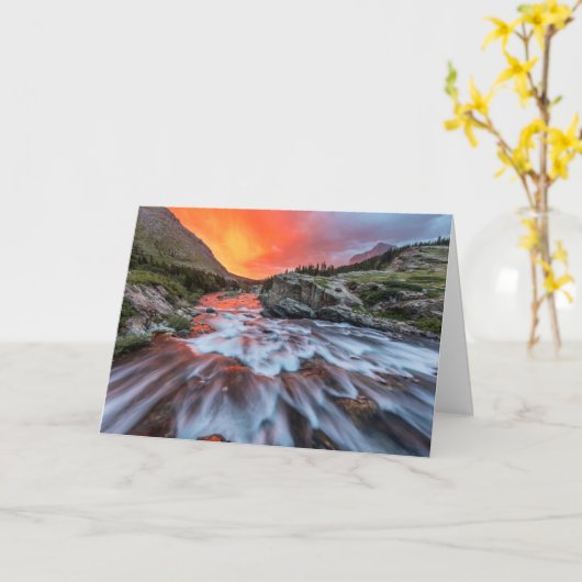 Swiftcurrent Herfsten | Nationaal park Glacier Mon Kaart (Gele Bloem)