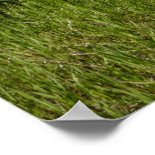 Swiftcurrent Lake Uitzicht bij Glacier National Pa Poster (Hoek)