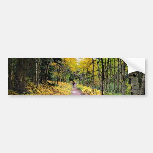 Swiftstroompas - Nationaal Park Glacier Bumpersticker (Voorkant)