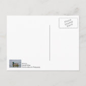Swim Mallard Swim Briefkaart (Achterkant)