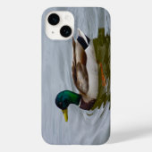 Swim Mallard Swim iPhone Case (Achterkant)