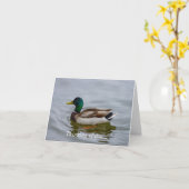Swim Mallard Swim Kaart (Gele Bloem)