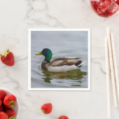 Swim Mallard Swim Servet (Insitu)