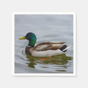 Swim Mallard Swim Servet