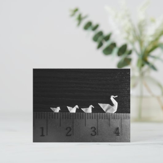 Swim voor 3cm-reeks briefkaart (Staand voorkant)