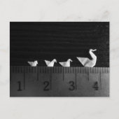 Swim voor 3cm-reeks briefkaart (Voorkant)