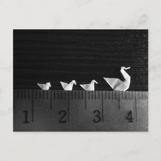 Swim voor 3cm-reeks briefkaart (Voorkant)