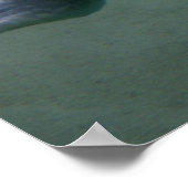 Swimmin Poster (Hoek)