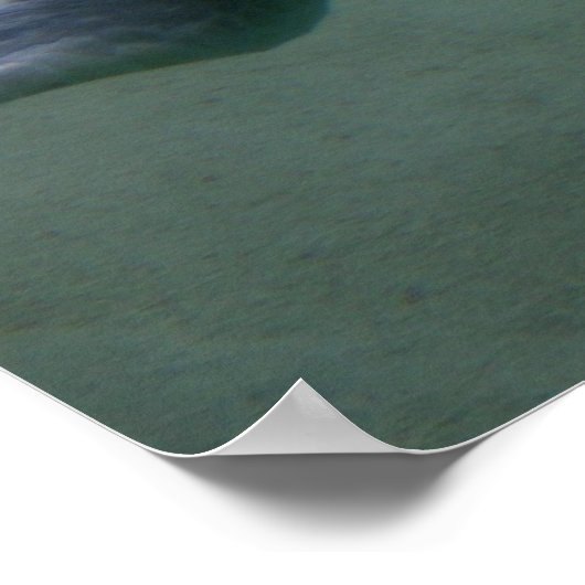 Swimmin Poster (Hoek)