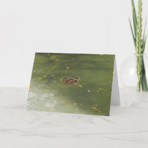 "Swimming Duck" Hartelijk dank Kaart