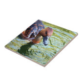 Swimming Duck Tegeltje (Zijkant)