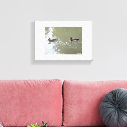 Swimming Ducks Canvas Afdruk (Insitu (Woonkamer))