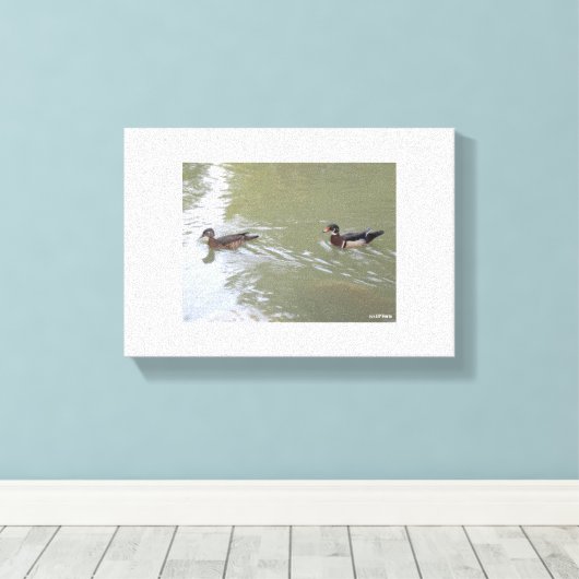 Swimming Ducks Canvas Afdruk (Insitu (Houten vloer))