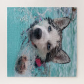 Swimming Husky Legpuzzel (Horizontaal)