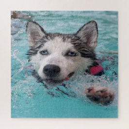 Swimming Husky Legpuzzel