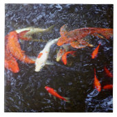 Swimming Koi Tegeltje (Voorkant)