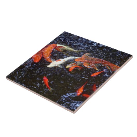 Swimming Koi Tegeltje (Zijkant)