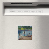Swimming Pool Magneet (Insitu (Vaatwasser))