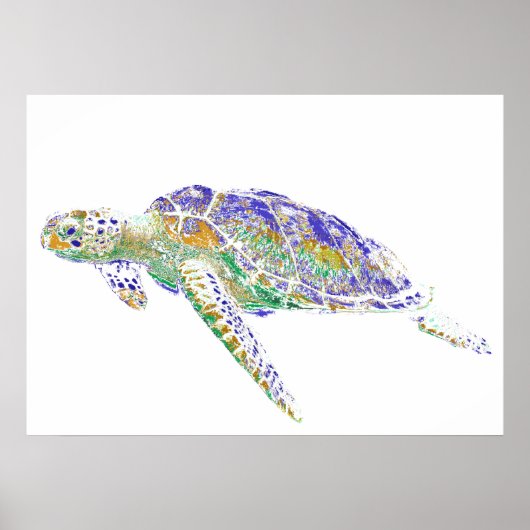 Swimming Sea Turtle Poster (Voorkant)