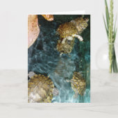 "Swimming Turtles" - Hartelijk dank voor uw kaart (Voorkant)