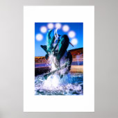 Swims with dolphins fountain poster (Voorkant)