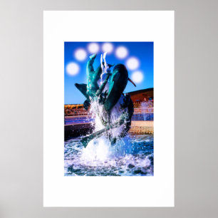 Swims with dolphins fountain poster