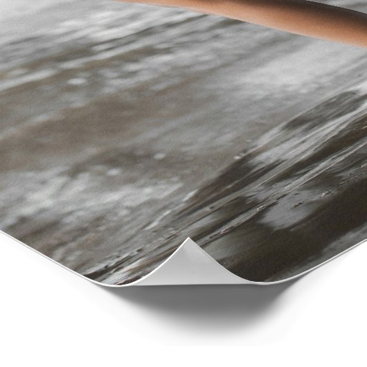 Swimsuit Model Posing Under A Pier Poster (Hoek)