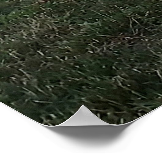 Swing met Uitzicht Poster (Hoek)