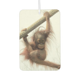 Swinging Baby Orangutan luchtverfrisser