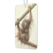 Swinging Baby Orangutan luchtverfrisser (Links)