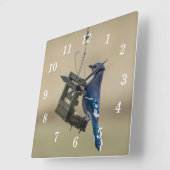 Swinging Blue Jay Wandklok (Hoek)