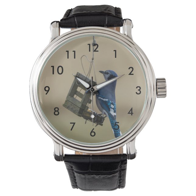 Swingle Blue Jay Horloge (Voorkant)